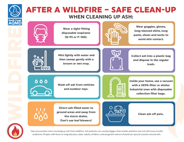 Ash Clean-Up Ash Clean-Up