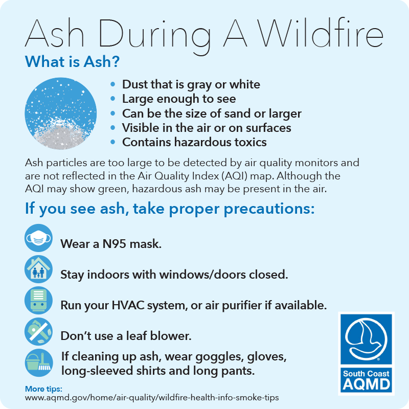 Ash Graphic English Ash Graphic English