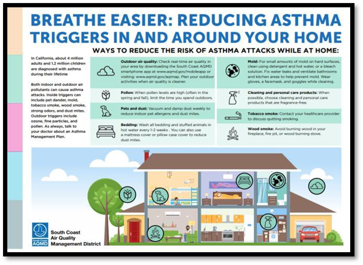Asthma Infographic